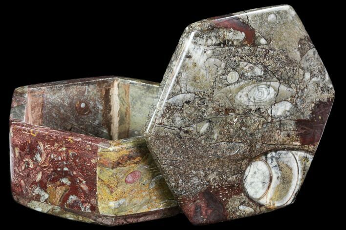 Fossil Orthoceras/Goniatite Jewelry Box #109224